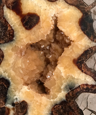Septarian