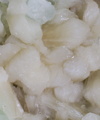 Zeolite
