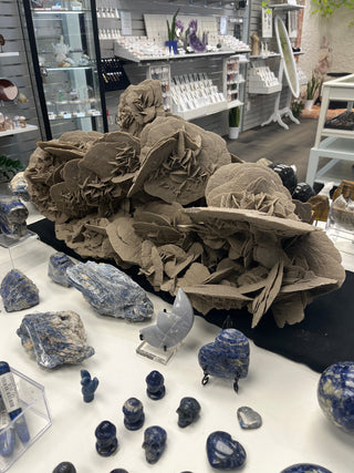 Elephant Ear Selenite Cluster Unique #1 from Stonebridge Imports
