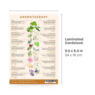 QuickStudy Guide 2.0 - Aromatherapy from Stonebridge Imports
