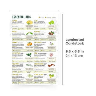 QuickStudy Guide 2.0 - Essential Oils from Stonebridge Imports