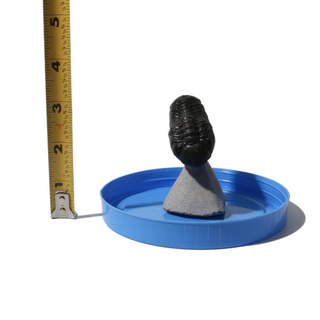 Trilobite Fossil on Stone Stand - U#20 - 2"    from Stonebridge Imports