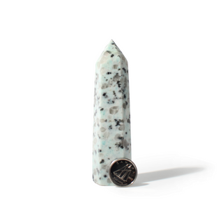 Kiwi Jasper Generator from The Rock Space