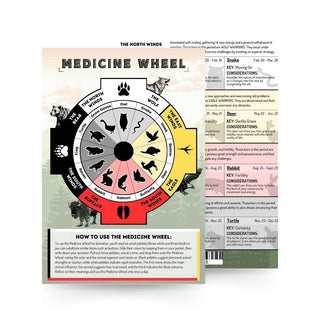 QuickStudy Guide 2.0 - Medicine Wheel (PDF File) from Stonebridge Imports