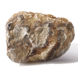 Septarian Chunk #1    from Stonebridge Imports