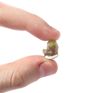 Vesuvianite (Quebec) - Unique #1 (1/2" - 3g) from The Rock Space