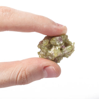 Vesuvianite (Quebec) - Unique #16 (1 1/4" - 16g) from The Rock Space