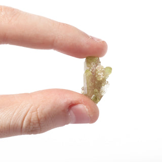 Vesuvianite (Quebec) - Unique #17 (1" - 5g) from The Rock Space