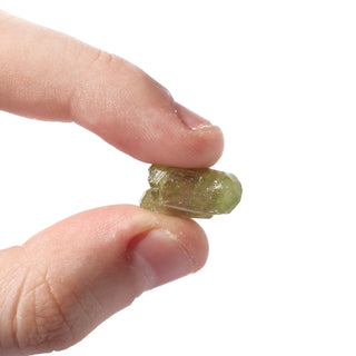 Vesuvianite (Quebec) - Unique #20 (3/4" - 4g) from The Rock Space