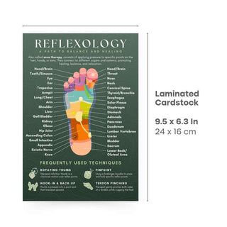 QuickStudy Guide 2.0 - Reflexology from Stonebridge Imports