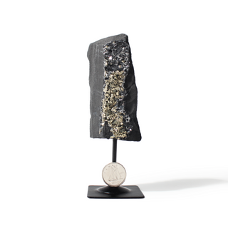 Pyrite on Basalt Specimen on Stand #1 from The Rock Space