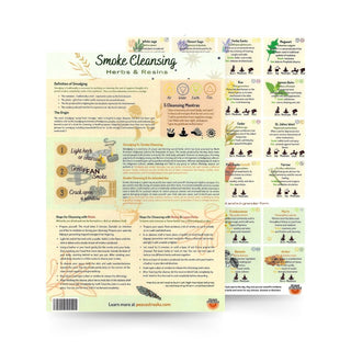 QuickStudy Guide 2.0 - Herbs & Cleansing (PDF File) from Stonebridge Imports