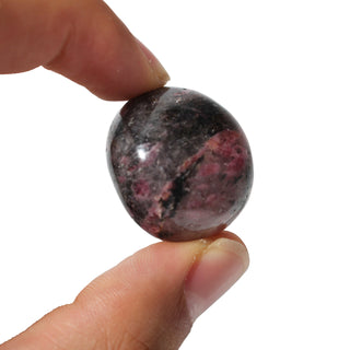 Rhodonite Dark Tumbled Stones from The Rock Space