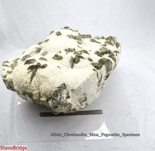 Albite with Mica Crystal on Matrix U#1 - 250 lb - 29" x 23"    from Stonebridge Imports