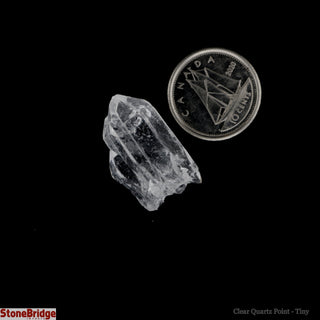 Clear Quartz 'A' Points Bag from Stonebridge Imports