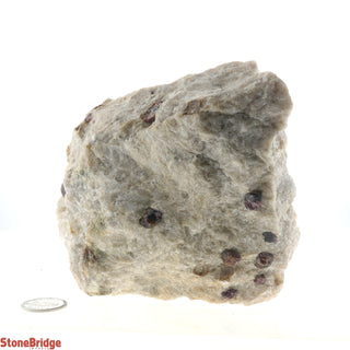 Garnet in Mica U#1    from Stonebridge Imports