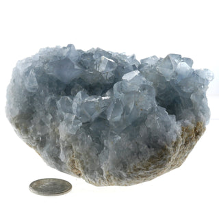 Celestite Geode #4 - 500g to 700g    from Stonebridge Imports