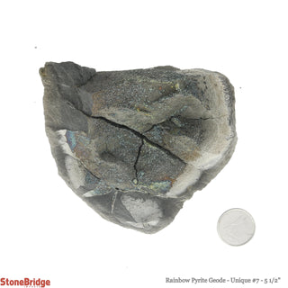 Rainbow Pyrite Geode U#7    from Stonebridge Imports