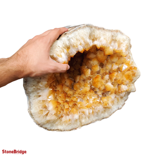 Citrine Geode U#38 (Enhanced) from Stonebridge Imports