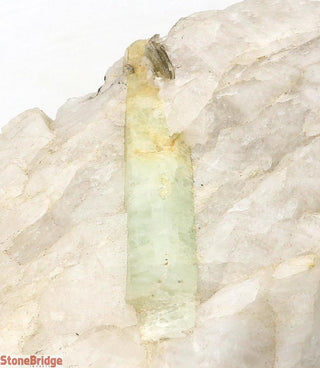 Aquamarine on Quartz Matrix U#3    from Stonebridge Imports