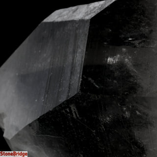 Lemurian Quartz Point U#2 - 5 1/4"    from Stonebridge Imports
