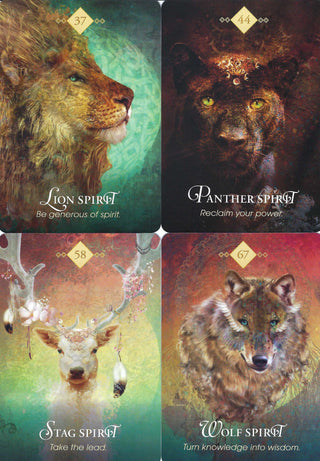 The Spirit Animal Oracle - DECK from The Rock Space