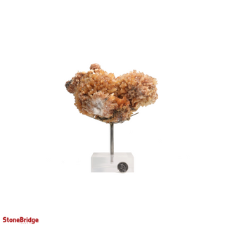 Creedite Specimen U#2 - 7"    from Stonebridge Imports
