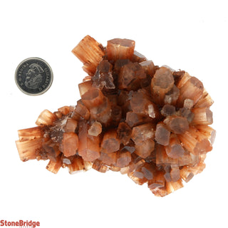 Aragonite Sputnik Cluster #6    from Stonebridge Imports