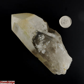 Smoky Lemurian Points #3 - 200g to 399g    from Stonebridge Imports