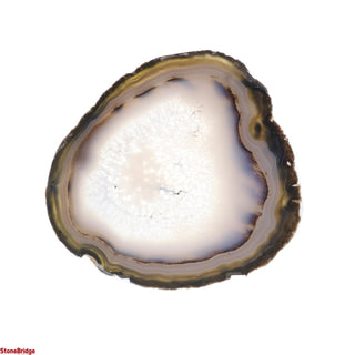 Agate Slices #7 - 6" to 7 1/4" (Enhanced) from Stonebridge Imports