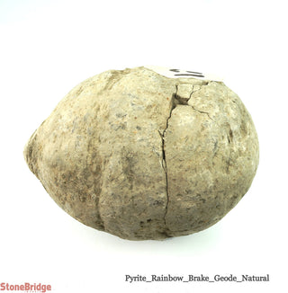 Rainbow Pyrite Geode U#12    from Stonebridge Imports