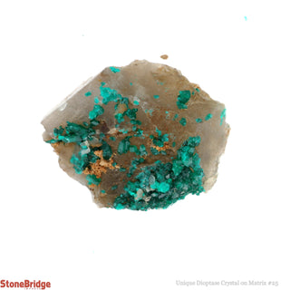 Dioptase Specimen on Matrix U#24 - 1 1/2"    from Stonebridge Imports