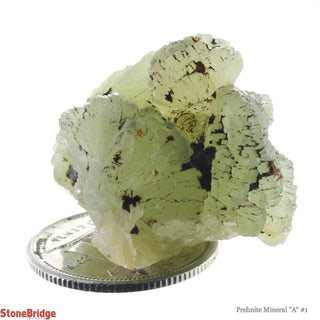 Prehnite Crystal - 1/2" to 1 1/2" - 3 Pack from Stonebridge Imports