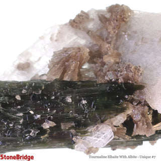 Tourmaline Elbaite With Albite U#7    from Stonebridge Imports