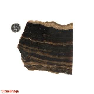 Calcite Chocolate Slice #4    from Stonebridge Imports