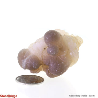 Chalcedony Truffle #1 - 1.5"    from Stonebridge Imports
