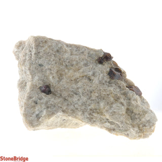 Garnet in Mica U#1    from Stonebridge Imports