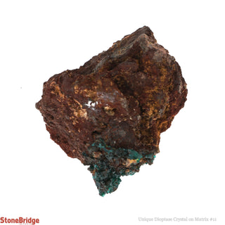Dioptase Specimen on Matrix U#11 - 1 1/2"    from Stonebridge Imports