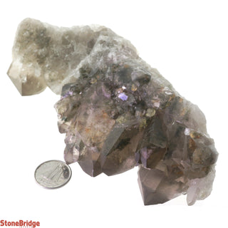 Inclusion Elestial Quartz Clusters #11 - 5"    from Stonebridge Imports
