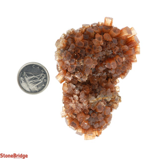 Aragonite Sputnik Cluster #4    from Stonebridge Imports