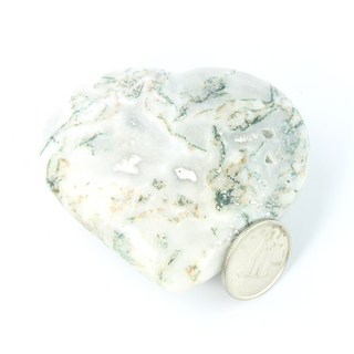 Tree Agate Heart #4 - 1 3/4" to 2 3/4"    from Stonebridge Imports
