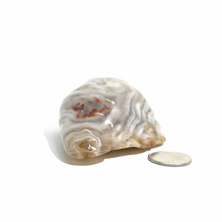 Enhydro Agate Geodes - 2 to 1/4"    from Stonebridge Imports