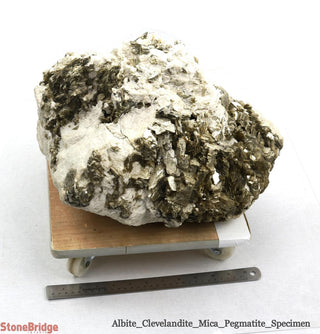 Albite Crystal Specimen U#2 - 14"    from Stonebridge Imports