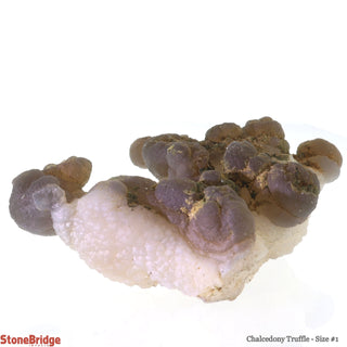 Chalcedony Truffle #1 - 1.5"    from Stonebridge Imports