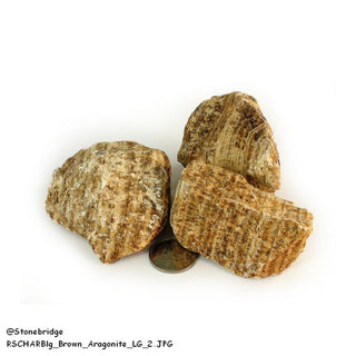 Aragonite Brown Chips - Large    from Stonebridge Imports