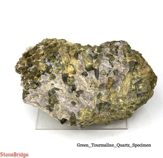 Green Tourmaline on Quartz Matrix U#9    from Stonebridge Imports