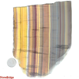 Fluorite Yellow Slice #2    from Stonebridge Imports