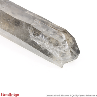 Lemurian Black Phantom Point #2    from Stonebridge Imports