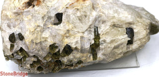 Green Tourmaline on Quartz Matrix U#10    from Stonebridge Imports