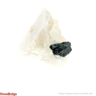 Dioptase Specimen on Matrix U#28 - 1 1/4"    from Stonebridge Imports